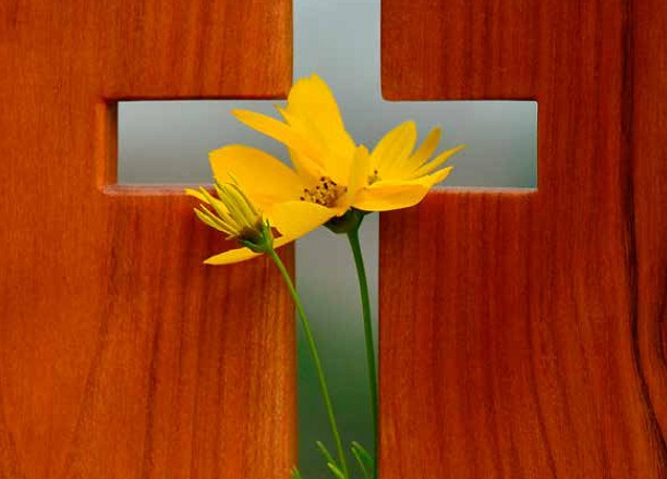 Croix Fleur priere oecumenisme