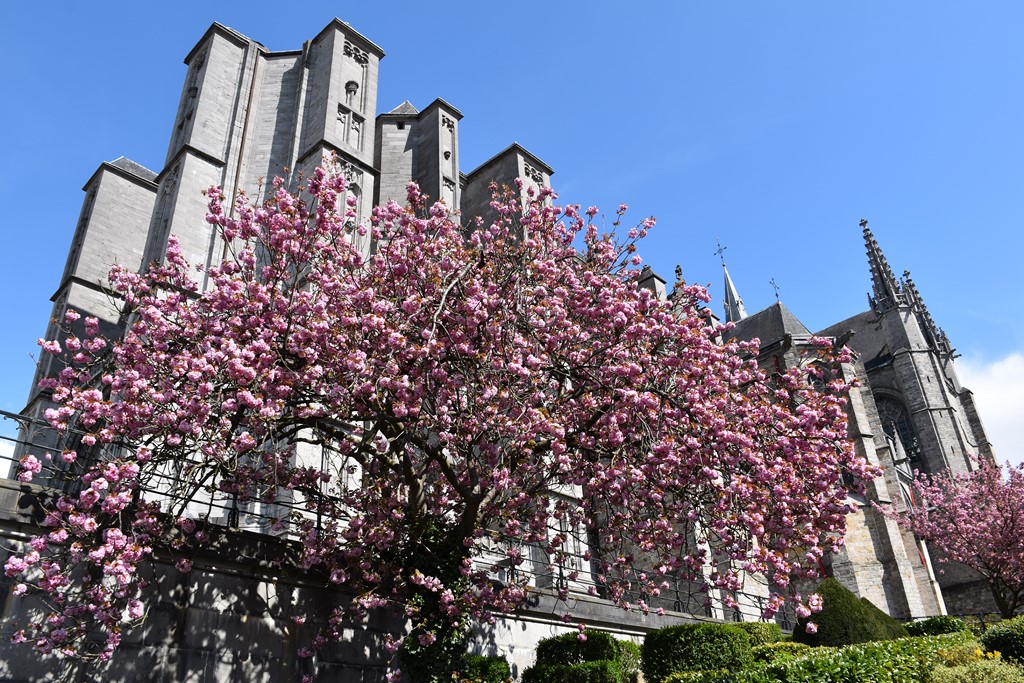 Fete de Ste Waudru 9 avril 2022 4